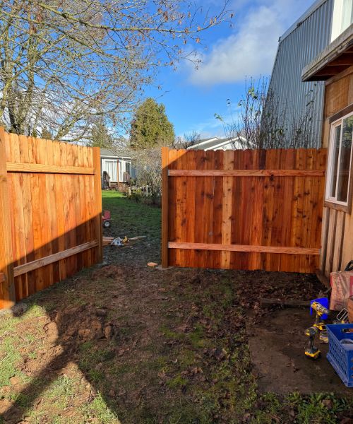 A backyard with a wooden fence and a blue trash can